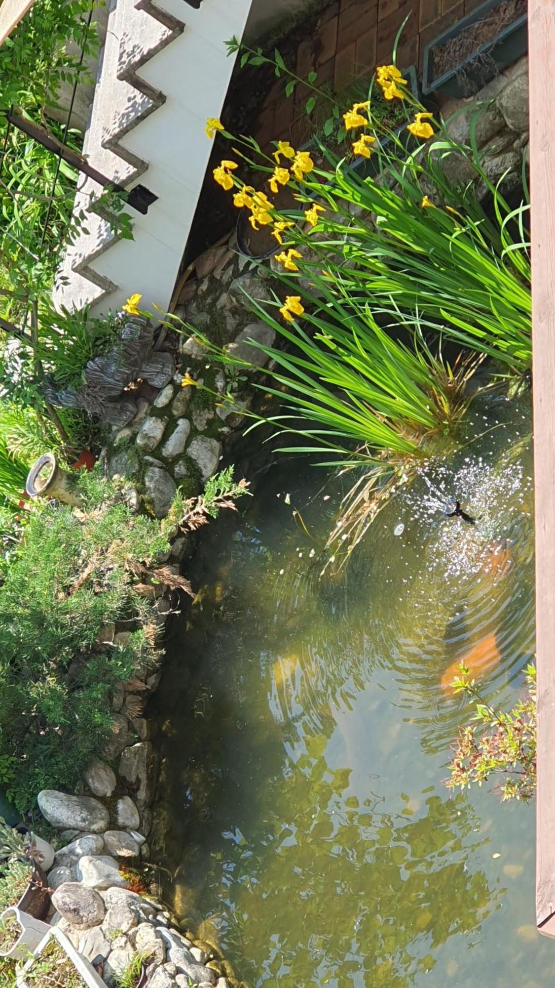 Saint Paul De Vence Villa Damyang Room photo
